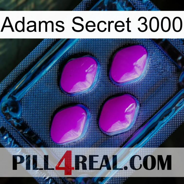 Adams Secret 3000 04